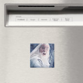 GANDALF™ in strijd Magneet (Insitu (Vaatwasser))