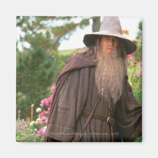 GANDALF™ met Pet Magneet (Voorkant)
