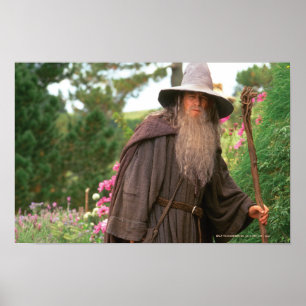 GANDALF™ met Pet Poster