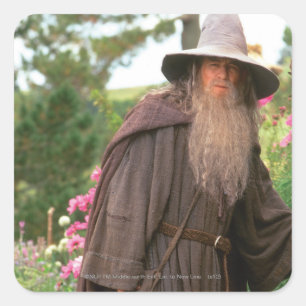 GANDALF™ met Pet Vierkante Sticker