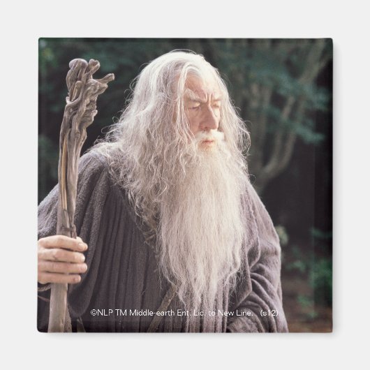 GANDALF™ Permanent Magneet (Voorkant)