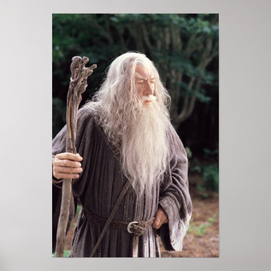 GANDALF™ Permanent Poster (Voorkant)