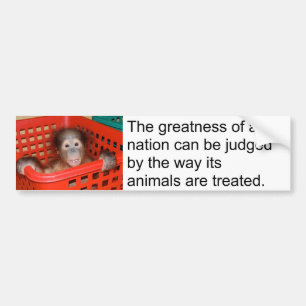 Gandhi Animal Quote Cute Baby Bumpersticker