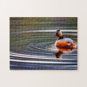 Gangde Grebe Duck Wyoming. Legpuzzel