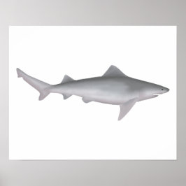 Ganges Shark Poster