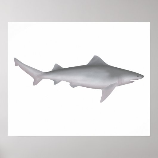 Ganges Shark Poster (Voorkant)