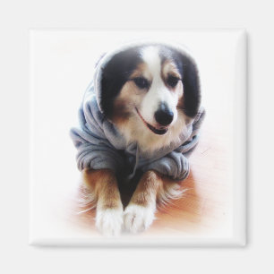 Gangsta Dog Wearing Hoodie Magneet