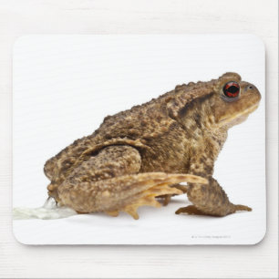 Gangweg of Europese weg (Bufo bufo) pisssen Muismat