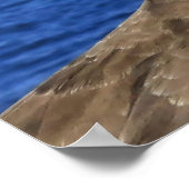 Gannet Portrait Poster (Hoek)