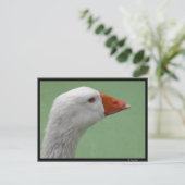 gans1 briefkaart (Staand voorkant)