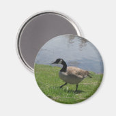 gans magneet (Voorkant / Achterkant)