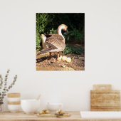 Gans op eieren poster (Keuken)