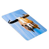 Gans op het meer magneet (Rechterzijde)
