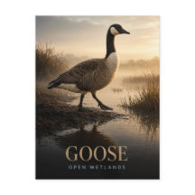 Gans Open Natte Graslanden Wildlife DIER