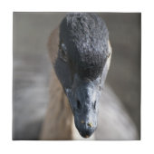 Gans Tegeltje (Voorkant)