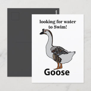 Gans zoekt water om Afrikaanse gans te zwemmen Briefkaart