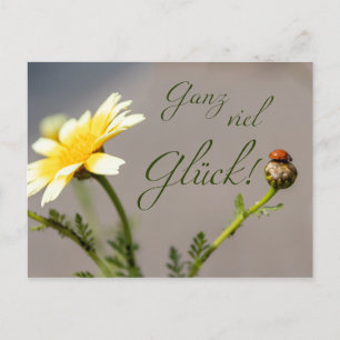 Ganz viel Glück - mit Marienkäfer! Briefkaart
