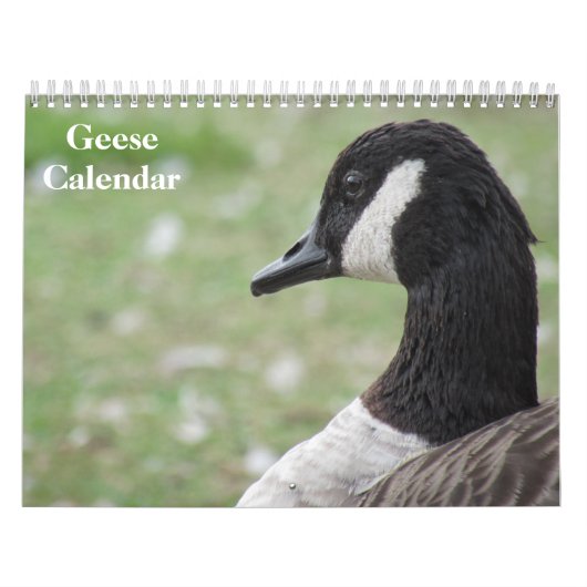 Ganzen 2025 kalender (Hoes)