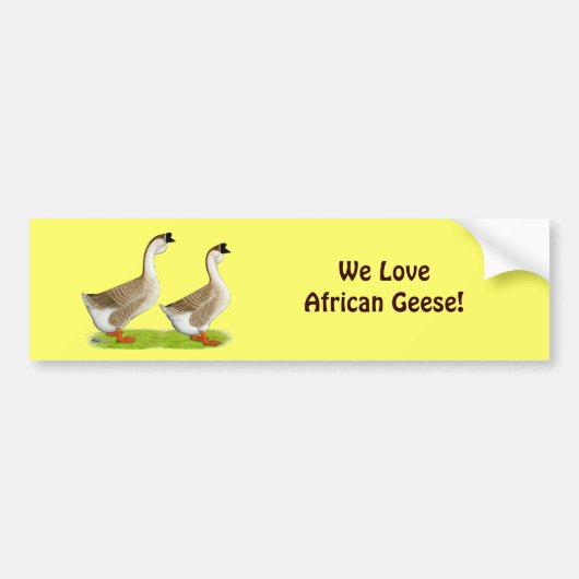 Ganzen: Afrikaans Buff Bumpersticker (Voorkant)