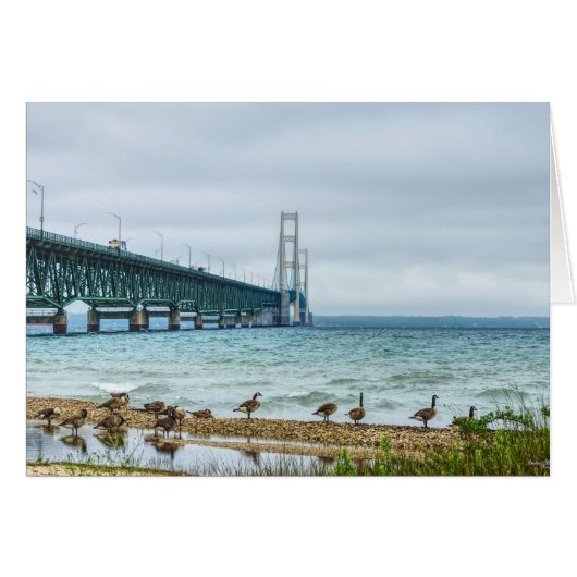 Ganzen bij Mighty Mac (Voorkant Horizontaal)