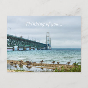 Ganzen bij Mighty Mac denken aan jou Briefkaart