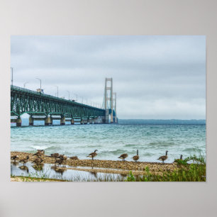 Ganzen bij Mighty Mac Poster
