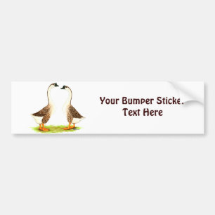 ganzen: Bruin Chinees Bumpersticker