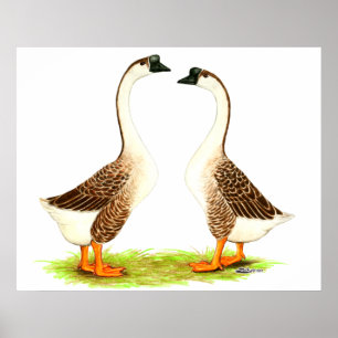 ganzen:  Bruin Chinees Poster