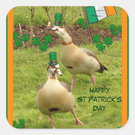 ganzen die een beetje Iers dansen Vierkante Sticker