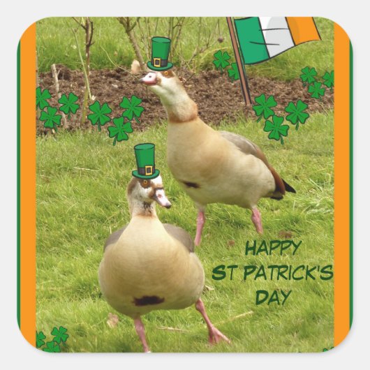 ganzen die een beetje Iers dansen Vierkante Sticker (Voorkant)