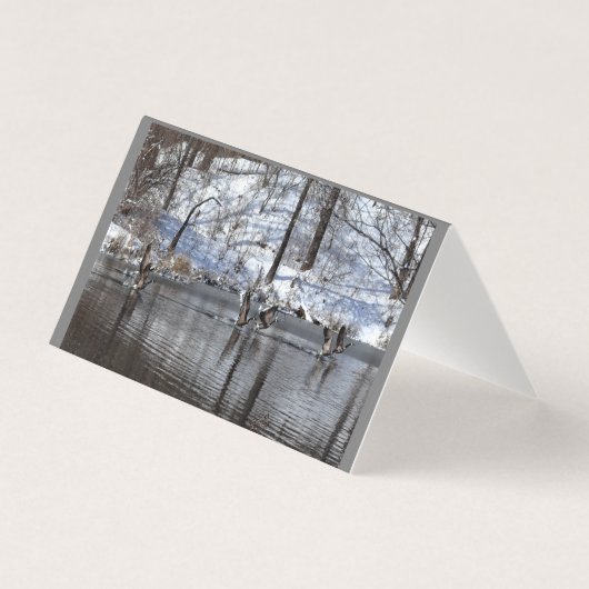 ganzen die uit water vloeien kaart (Voorkant)