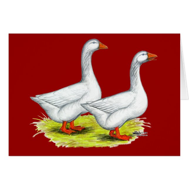 ganzen: Embden Pair (Voorkant Horizontaal)