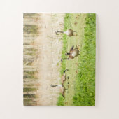 Ganzen en Goslings te groot Legpuzzel (Verticaal)