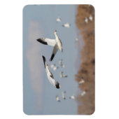 ganzen in de Boskeskies Magneet (Verticaal)