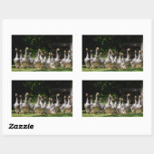 Ganzen in de Dordogne rechthoekige sticker (Vel)