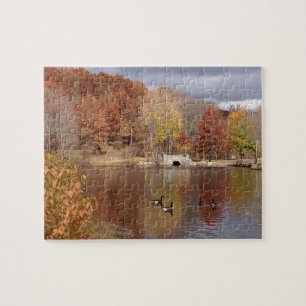 Ganzen in Reflecterende kleuren - Legpuzzel