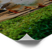 Ganzen op de Maart Dierkunst Poster (Hoek)