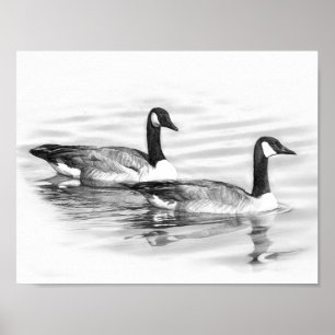 Ganzen op het water poster