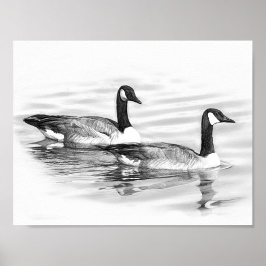 Ganzen op het water poster (Voorkant)