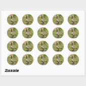 Ganzen Stickers (Vel)