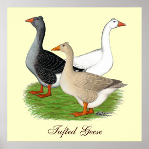 Ganzen: Tufted Trio Poster