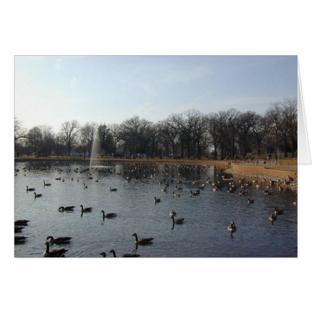 Ganzen wandkaart (Voorkant Horizontaal)