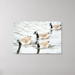 Ganzen zwemmen canvas afdruk
