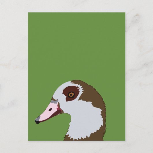 ganzenwatervogels briefkaart (Voorkant)