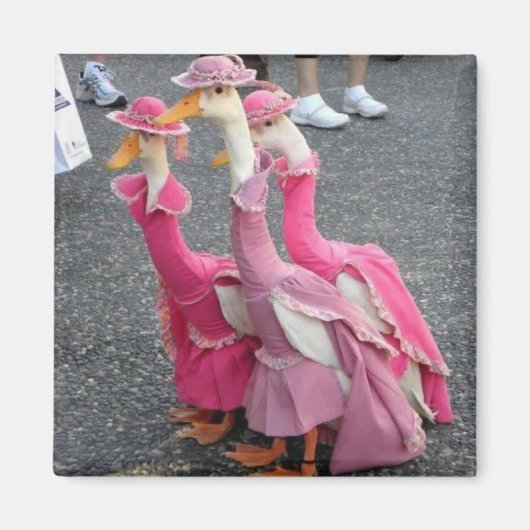 Ganzenzusters Magneet (Voorkant)