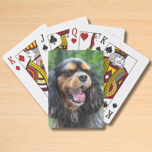 Gapende Cavalier King Charles Spaniel Pokerkaarten
