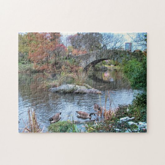 Gapstow Bridge, Central Park NEW YORK CITY Legpuzzel (Horizontaal)