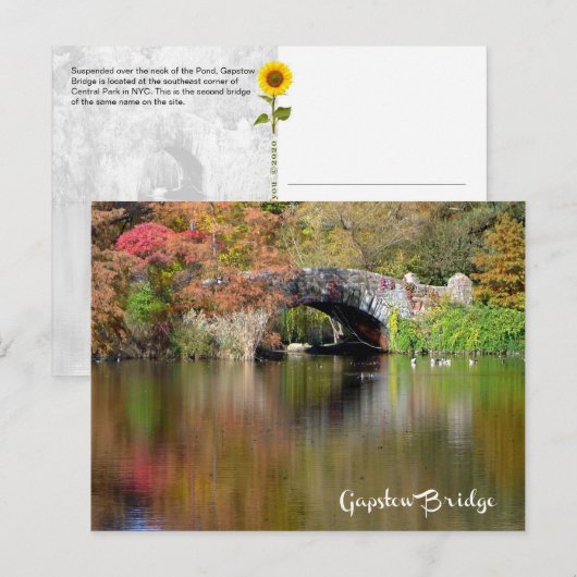 Gapstow Bridge, Central Park, NYC - H briefkaart (Voorkant / Achterkant)