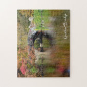 Gapstow Bridge, Central Park, NYC - puzzel Legpuzzel (Verticaal)