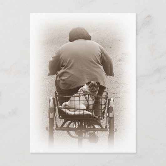 Garçon Et Chien Carlin Se Rendre À Une Carte Posta (Devant)